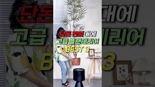 단돈 만원대에 고급 플랜테리어 식물 3가지?
