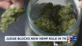 Judge temporarily blocks new hemp rule in TN