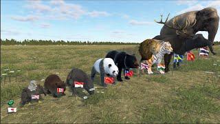 National Animal Weight Comparison in 3D Animation | Realistic World Data