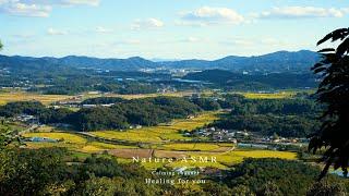 Calm and comfortable rural autumn scenery that relaxes your mind ASMR  Nature's sound, sleep