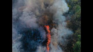 Feuer im Meinweg - Einen Monat danach (4K UHD) | fireflite.de