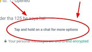 what is Tap and hold on a chat for more options In WhatsApp