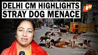 CM Rekha Gupta Highlights A Stray Dog Menace In Delhi