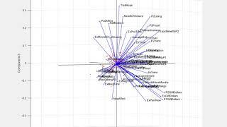 Supplementary Video. Principal Component Analysis (PCA) of survey variables