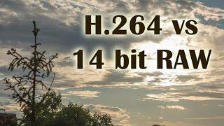 H.264 vs 14 bit RAW video