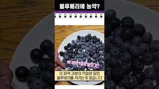 블루베리 껍질에 농약이 묻어있다고?