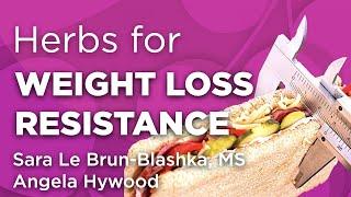 Herbs for Weight Loss Resistance | WholisticMatters Podcast | Special Series: Medicinal Herbs