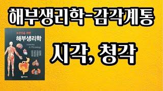 [해부생리학] 시각, 청각 / 감각계통