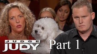 Is Dog Sitter Responsible for Bichon Attack? | Part 1