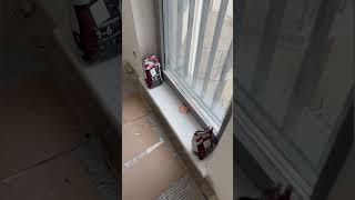 Подоконники из камня в СПБ. Производство любой сложности и размера - студия камня CACTUS  #short
