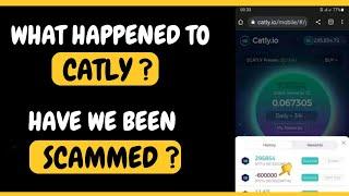 Latest Catly Update : What Happened To Catly, What is Next For Catly ? - (Catly News)
