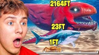 Reacting To SEA MONSTER SIZE COMPARISON