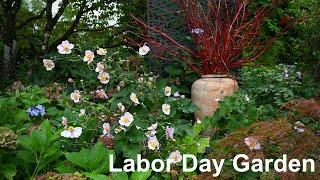 Labor Day Garden