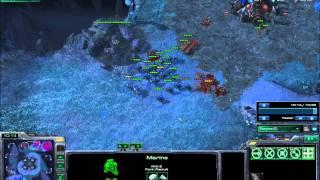 Zerg Rage Quit