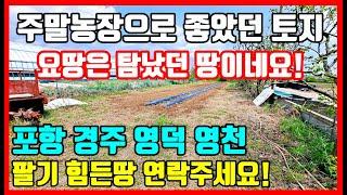 농막 있었던 포항토지 탐났던 땅! 시골집 촌집 전원주택 경북부동산 포항부동산 경주부동산 영천부동산 청송부동산 영덕부동산 토지매매 땅매매 임야매매 주말농장 텃밭 전문 착한부동산TV