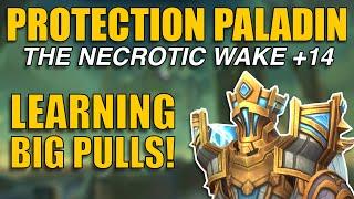 LEARNING BIG PULLS! The Necrotic Wake +14 Protection Paladin