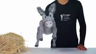 Baby Donkey Puppet by Allpropuppets