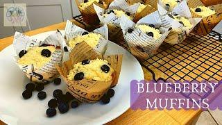 Blueberry Muffins - Recipe | BakeWithYapi