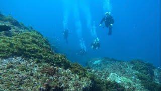 Rottnest Island Unlimited Visibility Swirl Reef 18m Roe Reef 14m