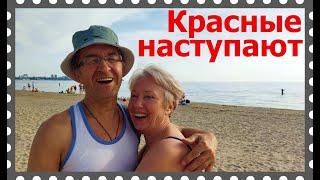 Утомлённые помидорами в Анапе, вкусными как на Алтае и в Хакасии