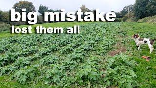 Losing All My Potatoes (Don't make THIS mistake.)