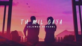 Tu Mil Gaya (Slowed + Reverb) | Jubin Nautiyal, Tulsi Kumar | Srikanth |