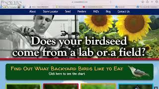 Learn About Birds From All Of Cole's Resources