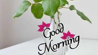 Ep-74/Good morning wishes with Beautiful images/Goodmorningvideostatus.subscribe @smilingthulasi3686