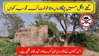 Oldest And Strange Baoli Well In Forest Of Choa Saidan Shah District Chakwal Punjab #tahirshahvlogs