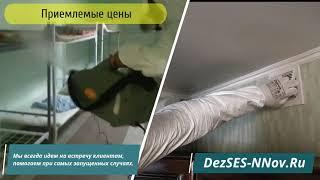 Уничтожение, обработка от клопов, тараканов в Нижнем Новгороде - Служба "ДезСЭС"