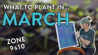 Veggies & Flowers you NEED to be planting in March