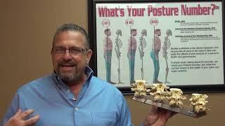 Crawford Chiropractic, Inc. | Chiropractic 101