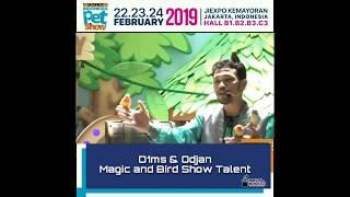 Viral  JIPS 2019 Jakarta Indonesia Pet Show with Dims & Odjan Magic and Bird Show Talent