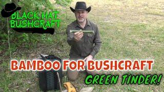 Bamboo for Bushcraft: GREEN TINDER