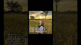 선선한 가을이 가기 좋은 경기도 가을 명소 BEST 5