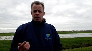 Boer Gerrit vlogt - Weidevogels redden door land onder water zetten