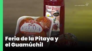 Feria de la Pitaya y el Guamúchil  | Jalisco Noticias