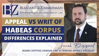 Appeal vs. 11.07 Writ of Habeas Corpus - Differences Explained