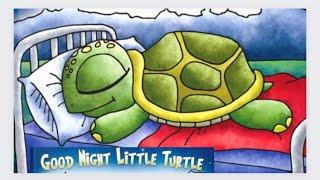 Good Night Little Turtle by David Cunliffe - Read Aloud Book