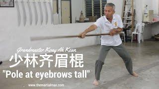 Grandmaster Koay Ah Kean - Southern Shaolin Pole Form - THE MARTIAL MAN