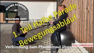 F15: 1. Teil Die halbe Parade & ganze Parade richtig reiten! Feine Anlehnung, Kreuzhilfe. Zügelhilfe