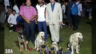 Chennai Dog Show 2020