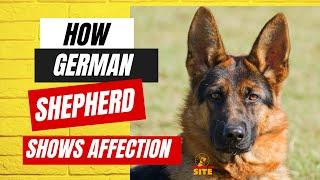 How German Shepherd Shows Affection?