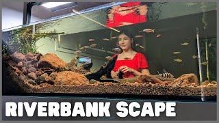 Building a RIVERBANK in my aquarium!