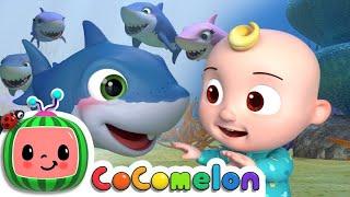 Baby Shark | ‪@CoComelon‬ Nursery Rhymes & Kids Poems | Coco Clubs