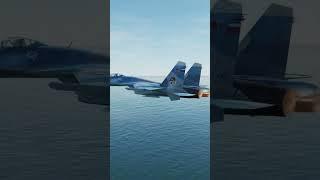 Top Speed Test | Su-33 Sea Flanker | DCS #shorts