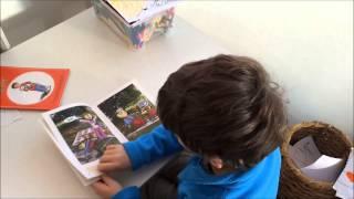 Learning to read English with Phonic Books