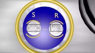 Differential Scanning Calorimetry (DSC)