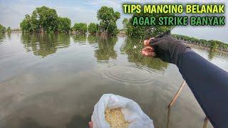 Langsung Tes !!! Cara Mancing Ikan Belanak Di Muara Sungai