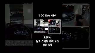 [SG2 니로] 원격 스마트 주차 보조 (RSPA) 작동 영상